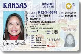 Fakenamegenerator provides the best overall experience when it comes to generating a fake online identity due to how simple it is at its core yet. Blog