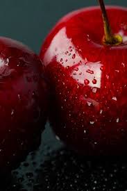 Pomme Pomme Pomme Recepty Lososya Yagody Eda V Zhivopisi