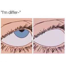  160 Lmfaosfhmsfoaidmft Ideas Bones Funny Hilarious Funny