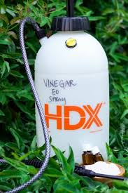 Can you use a vinegar weed killer instead of a toxic commercial spray? Super Powerful Chemical Free Natural Weed Killer Recipes To Nourish