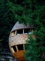 Discover collection of 12 photos and gallery about playhouse treehouse at jhmrad.com. 15 Most Awesome Tree Houses From Around The World