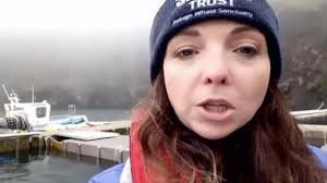 25 Padgett Stock Videos, Footage, & 4K Video Clips