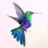 It has a gray rounded tail with a dark terminal band. 1