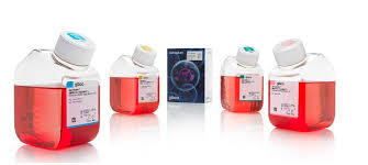 In vitro cell culture provides a controlled environment to study cell behavior. Thermo Fisher Scientific Launches Cell Culture Media As First To Remain Stable When Stored At Room Temperature Synbiobeta