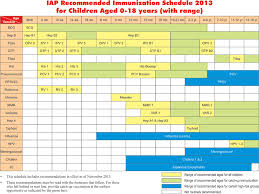 immunization chart jasonkellyphoto co