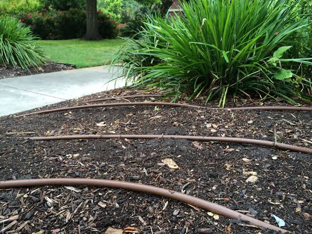 Drip Line Installation