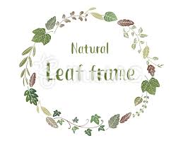 ナチュラルリーフフレームイラスト no 852333 無料イラストなら イラストac フレーム イラスト イラスト 花柄 イラスト