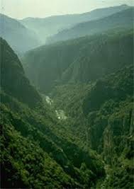 Panoramic views of a small but majestic country.(nature,food,beaches,forests,trees,hotels,restaurants,venues. Nature Of Lebanon Photos Lebanon Beautiful Places On Earth Cool Places To Visit