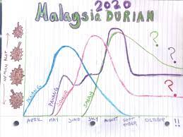 Durian trees typically produce fruits for only one season per year. 2020 Malaysia Durian Season Guide Year Of The Durian