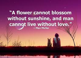I am too happy to begin our life, me and you and happiness surrounding us. Romantic Love Quotes For Android Apk Download