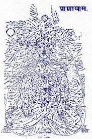 Stellar Delux Spa Gym Sauna Salon Colour Mineral Lamp Kundalini Pranayama Techniques Chakra