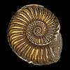 Interested in flipbooks about ~regarder~ ammonite 2020 film complet streaming vf en vostfr? 1