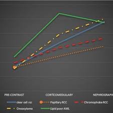 Abdullah Armagan's research works