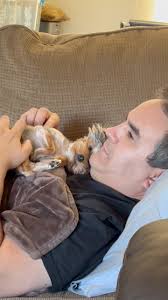 Is a velvet couch easy enough to clean for pets? I am searching right now  and lots of couches are velvet. Worried it will be too hard to clean  though.