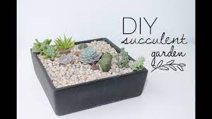 Succulent roots can thrive in a shallow, wide container. Diy Tutorial How To Make A Succulent Garden Youtube
