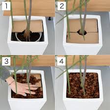 グリーンの元気がない 観葉植物の 育て方 から レスキュー方法 まで おすすめ インテリア グリーン インテリア 北欧暮らしの道具店