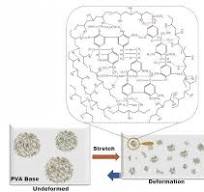 Research Advancements in Modified Polyvinyl Alcohol ...
