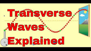 Furthermore, the oscillations of such a pressure wave result in the material's expansion and compression. Difference Between Transverse And Longitudinal Waves With Examples