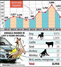 Abuse cases, and this is far from reaching a. Over 1k Stray Animals Injured In Road Accidents In 4 Months Nagpur News Times Of India