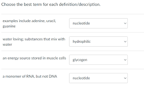 Solved Choose The Best Term For Each Definition Descripti Chegg Com