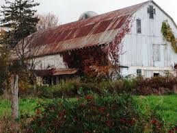 Barns Of Pennsylvania Farms Living Old Barns