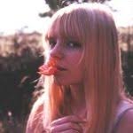 Die besten Musikvideos 2008