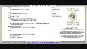 After the joys and comforts we have gotten from our gsd roxie we decided to share her with others. Registration Papers For German Shepherd American Kennel Club Akc Dog Show