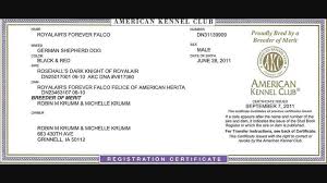 I'm the breeder behind royalair german shepherds located in grinnell, ia. Registration Papers For German Shepherd American Kennel Club Akc Dog Show