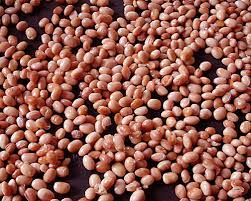 Cooking Whole Dried Soybeans | Justhungry
