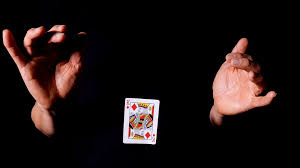 Flies can be a real nuisance: 7 Levitation Magic Tricks For Beginners And Kids