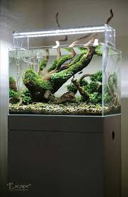 Pin Von Rogerio Bragil Auf Aquarium Ideas Aquarien Aquarium Design Aquarium