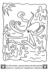 Octopus coloring pages are a fun way for kids of all ages to develop creativity, focus, motor skills and color recognition. Octopus Picture For Kids Coloring Home