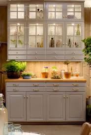 We present you a flexible, stylish and functional kitchen. Kitchen Ikea Bodbyn Glass Cabinets 59 Ideas Custom Kitchen Remodel Custom Kitchen Cabinets Rustic Kitchen