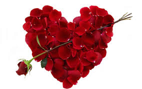 We did not find results for: Heart Wallpapers Free Wallpaper Cave