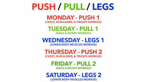 Best Workout Split Training Routines For Upper And Lower Body