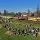 The Great Pumpkin Train