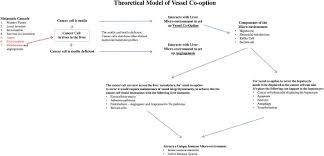 Contact them to find out more of range of financial services that they provide. Tumor Microenvironment Conditions That Favor Vessel Co Option In Colorectal Cancer Liver Metastases A Theoretical Model Sciencedirect