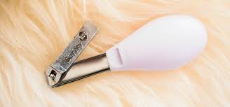 $ what to keep care of something when cutting nails for cats. What Angle Do I Trim A Dog And Cat S Nails Using Guillotine Style Nail Clippers Healthcare For Pets