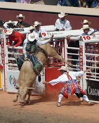O brother, where art thou? Rodeo Clown Wikipedia