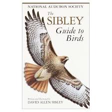 Birds Of Eastern North America The Sibley Guide To Birds 9780679451228 David Allen Sibley And Also Sibley Field Guide To Birds Of Eastern North America With Images Sibley Audubon Society Bird Book