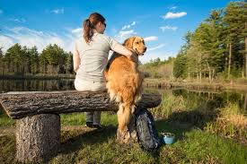 May 15, 2020 · the trail is dog friendly and some of it is wheelchair and stroller friendly until you get to the stairs near the ocean. 12 Best Dog Friendly Hikes In Massachusetts Kurgo Dog Products