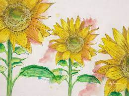 Detail Of A Sunflower By Rizky Alvin On Dribbble Watercolor Sunflower Watercolor Flowers Drawings