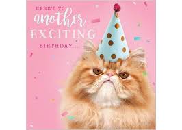 Verjaardagskaart Rapture Here S To Another Exciting Birthday Boze Kat Muller Wenskaarten