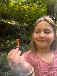 Found in NC, is this cordyceps?