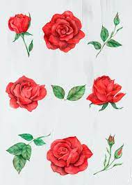 Download Premium Vector Of Rose And Leaf Vector Set Watercolor Style Red Rose Flower Rose Leaves Vector