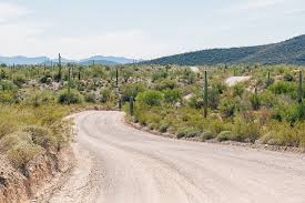 And what better way than to spend a week in the backcountry of organ pipe cactus national monument, one of the most arid of arizona's hot spots. A Guide To Organ Pipe Cactus National Monument Fresh Off The Grid
