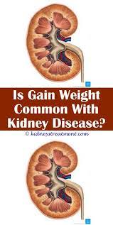 Account Suspended Kidney Disease Kidney Disease Symptoms Kidney Disease Recipes