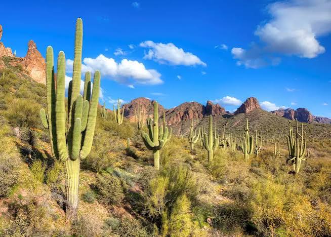 Arizona Vacations | Tailor-Made Arizona Tours | Audley Travel US