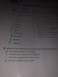 Check Your Recall 1 Define Anatomical Position 2 M Chegg Com