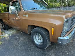 Image result for Brown 1979 Chevy Truck